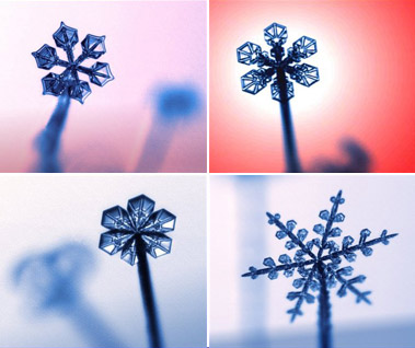 The Physics of Snowflakes